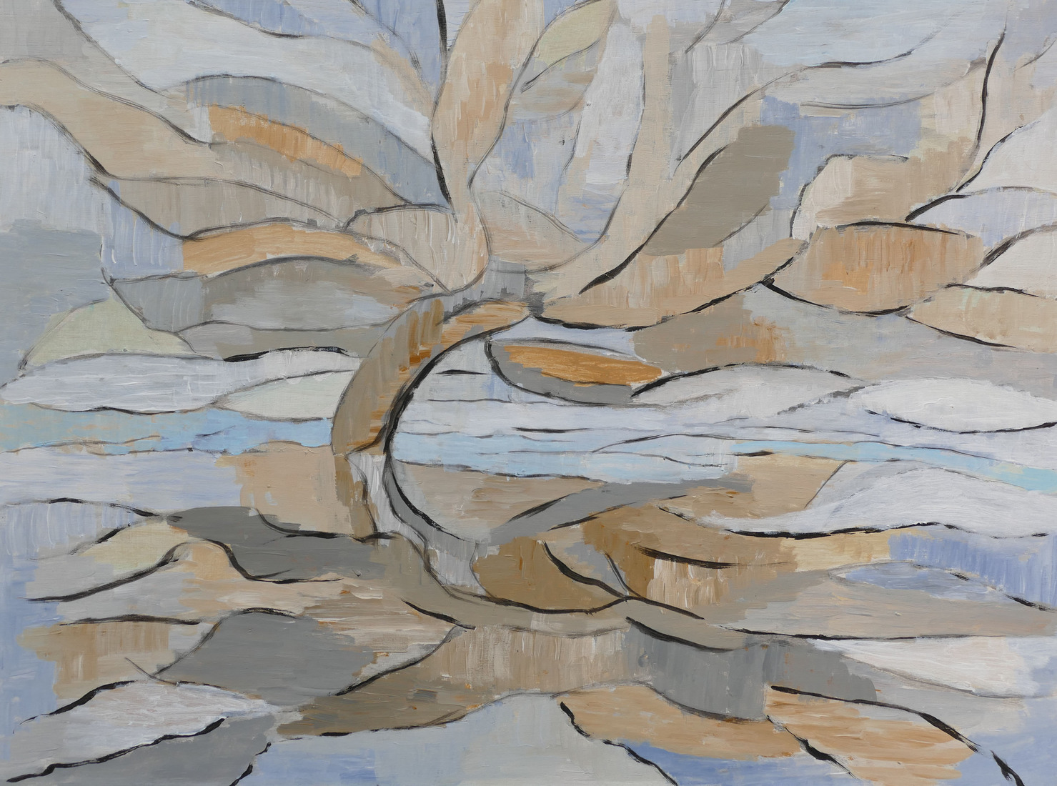 boom 2 Junner Koeland Salland