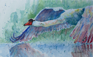 vogels aquarel