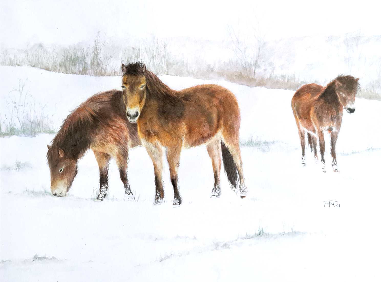 Exmoor pony's in het Buitenpark in Zoetermeer