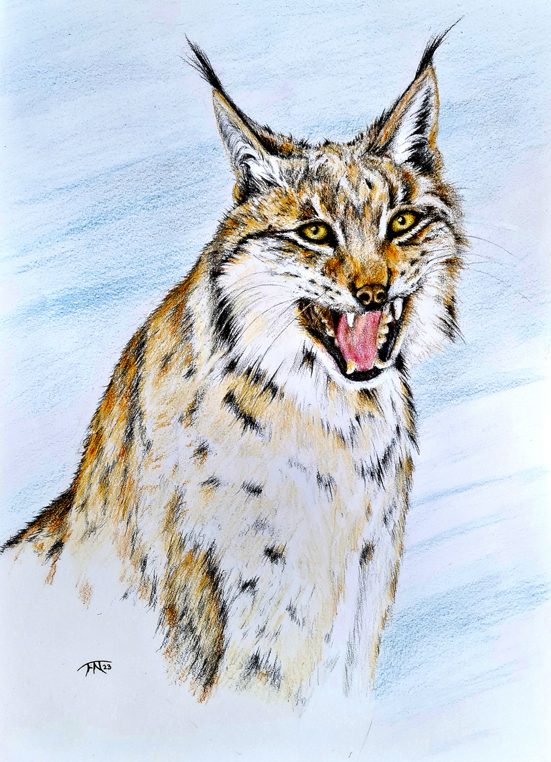 Lynx in het Beierse woud