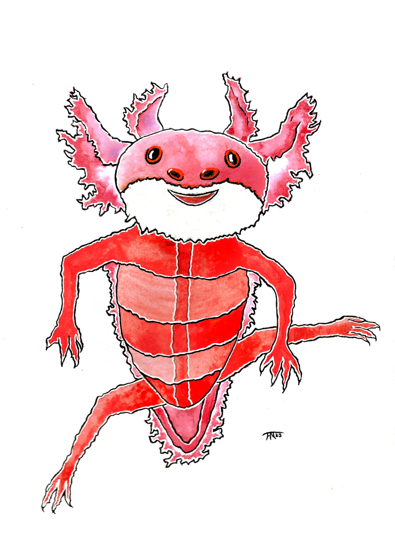 Oude axolotl