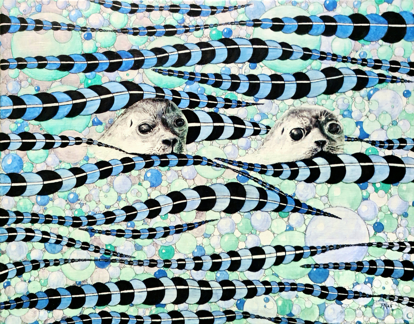 zeehonden 'zien ze ons?'