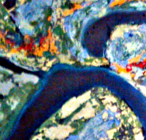 Deze schilderijen zijn ontstaan na een wandeling in de Biesbosch en zijn vervaardigd met een combinatie van technieken en materialen, waaronder paletmes, zand, zaagsel en papier. 