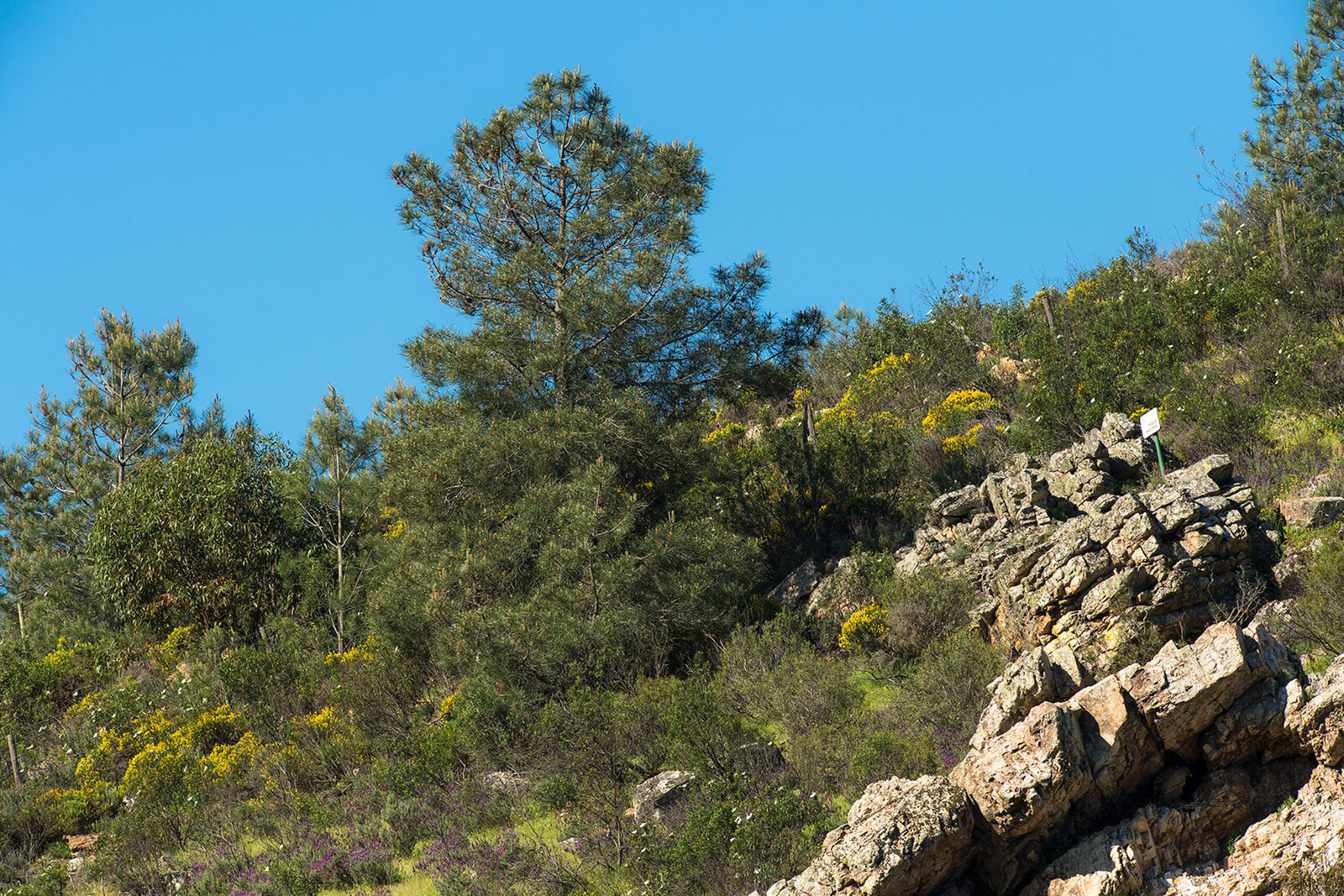 Parque Nacional de Monfragüe