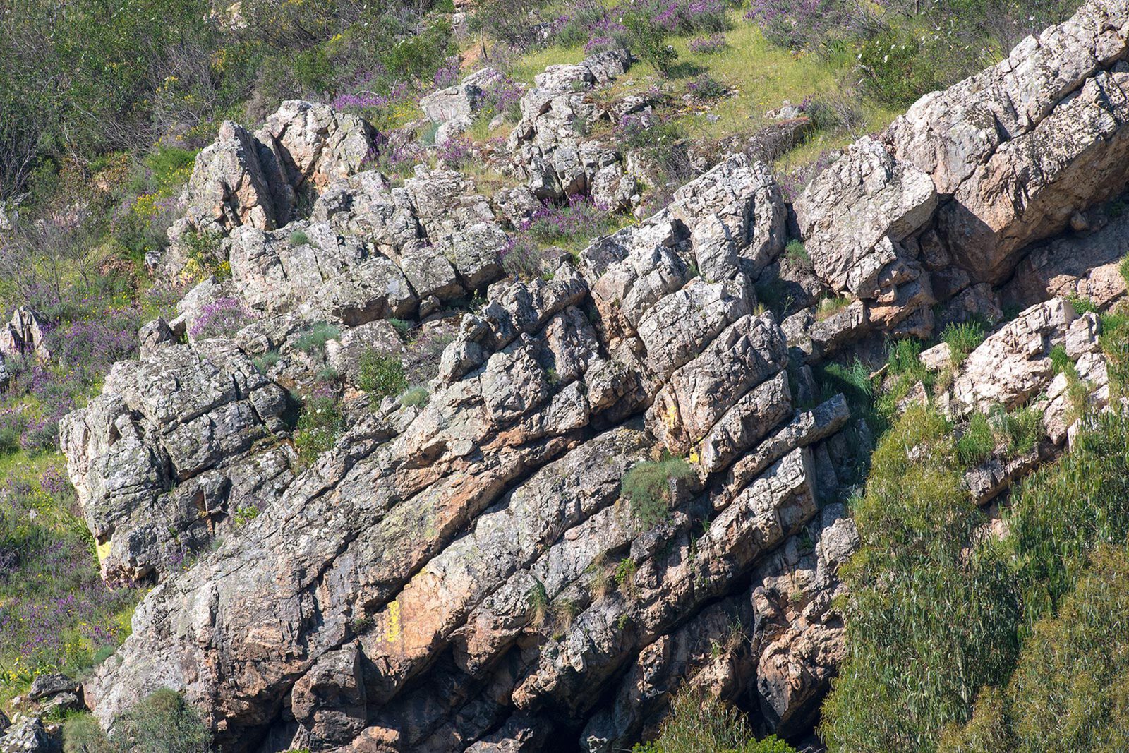 Parque Nacional de Monfragüe