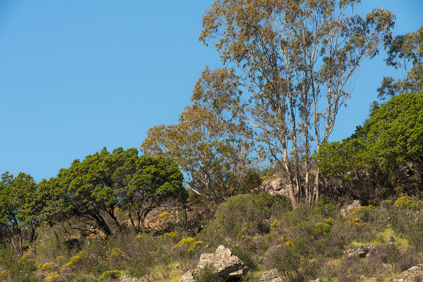 Parque Nacional de Monfragüe