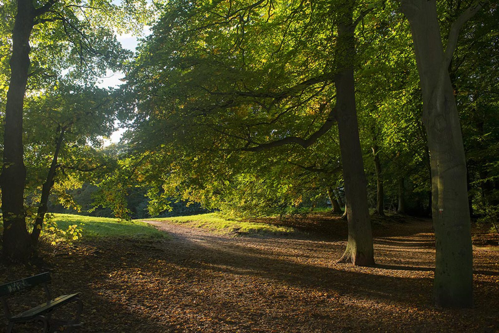 Landgoed Clingendael