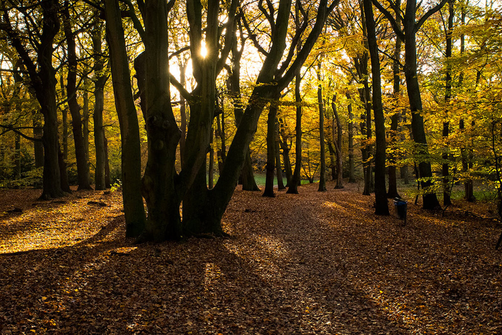 Landgoed Clingendael