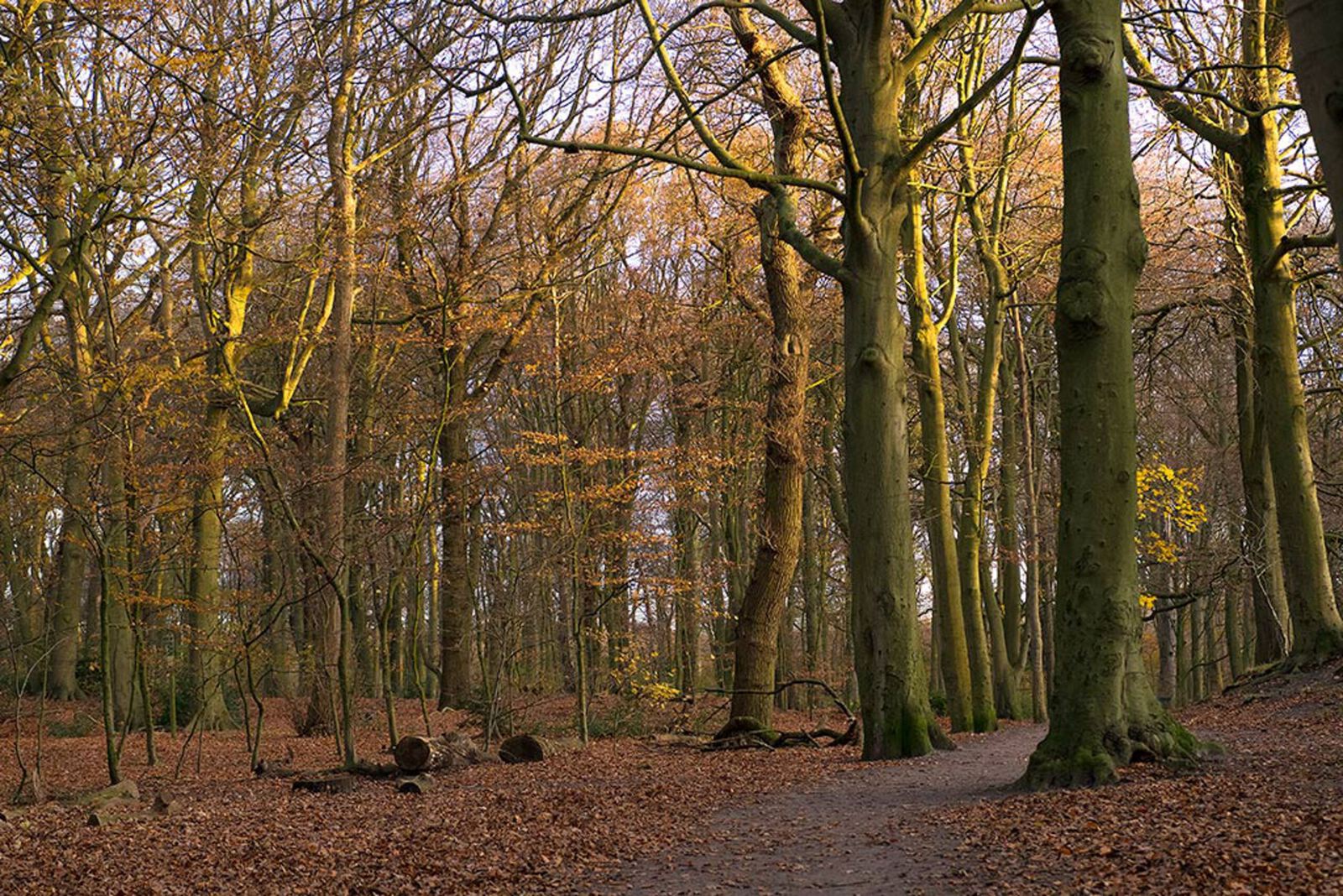 Landgoed Clingendael