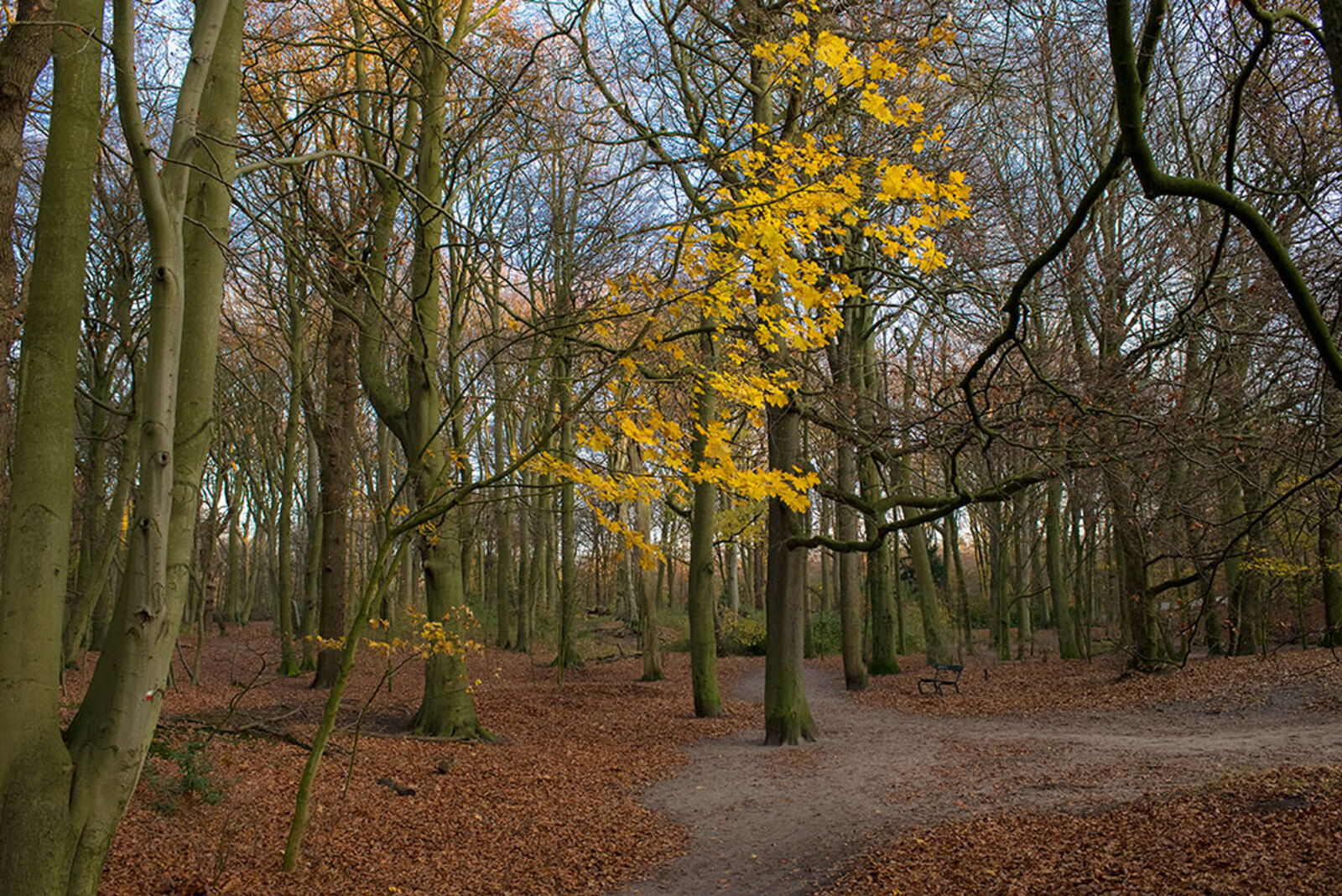 Landgoed Clingendael