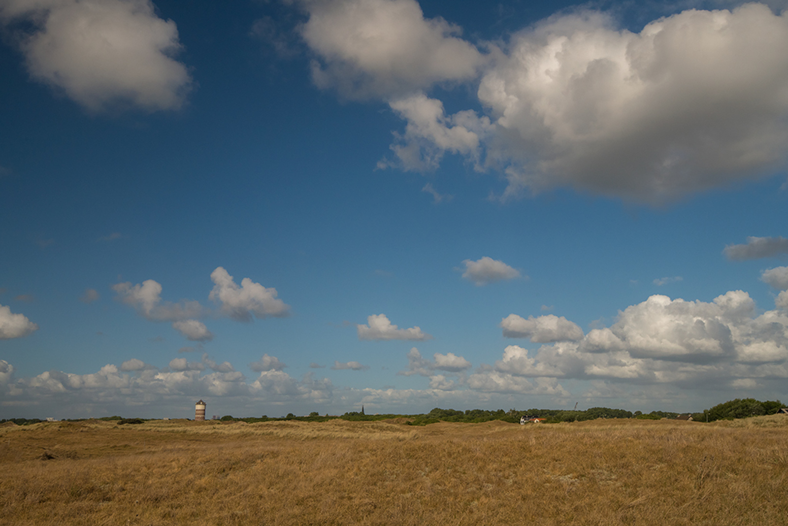 Solleveld