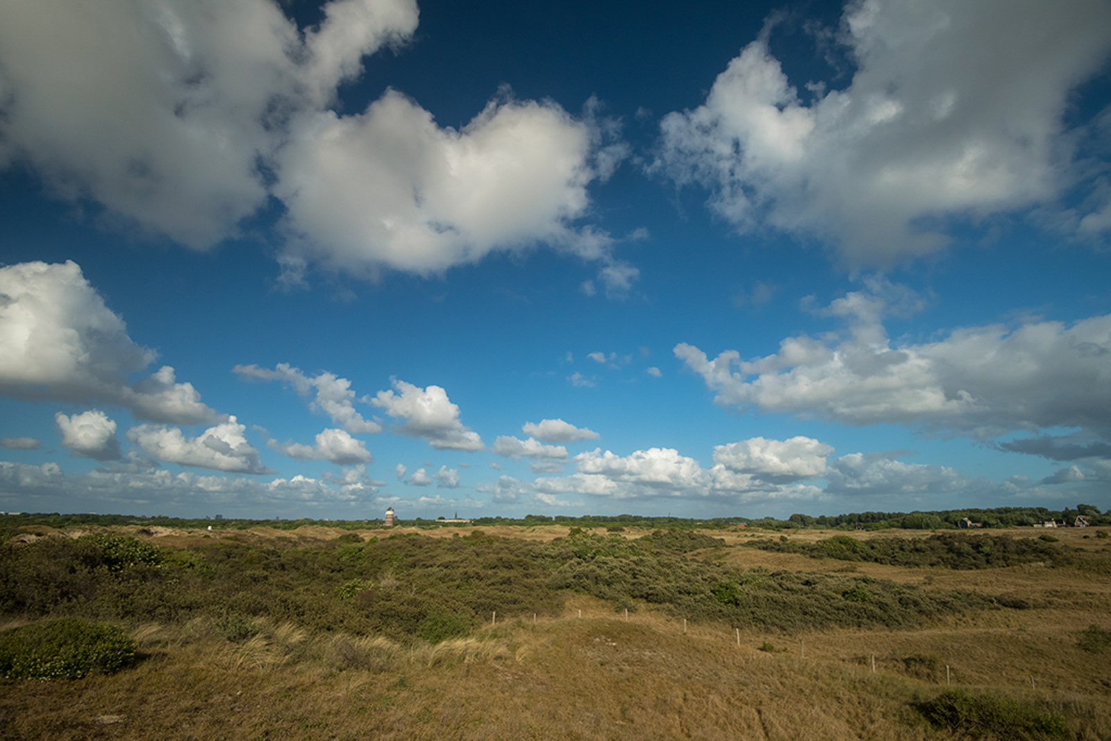 Solleveld