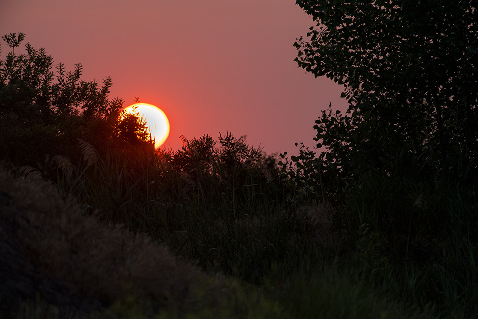 Zonsopkomst 04:50