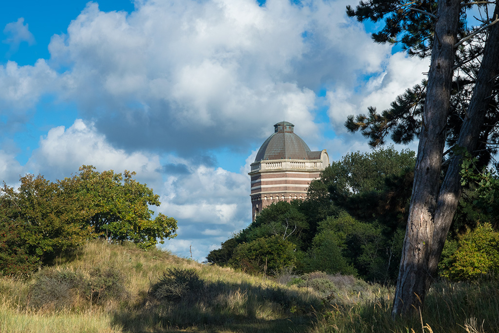 Oostduinpark, Meijendel