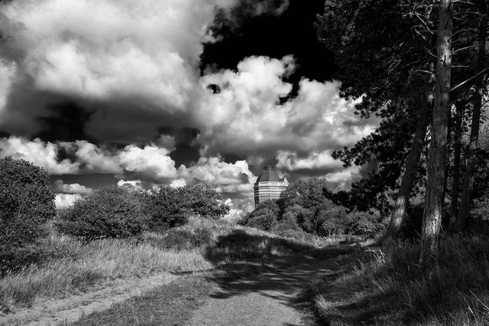 Foto van de maand Oktober 2025