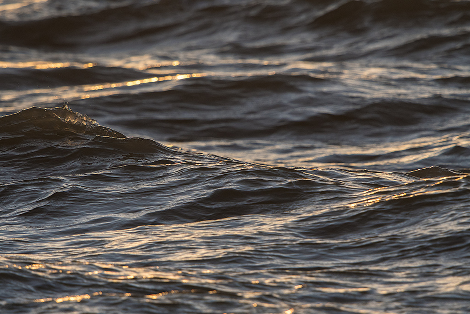 Kust bij zonsondergang