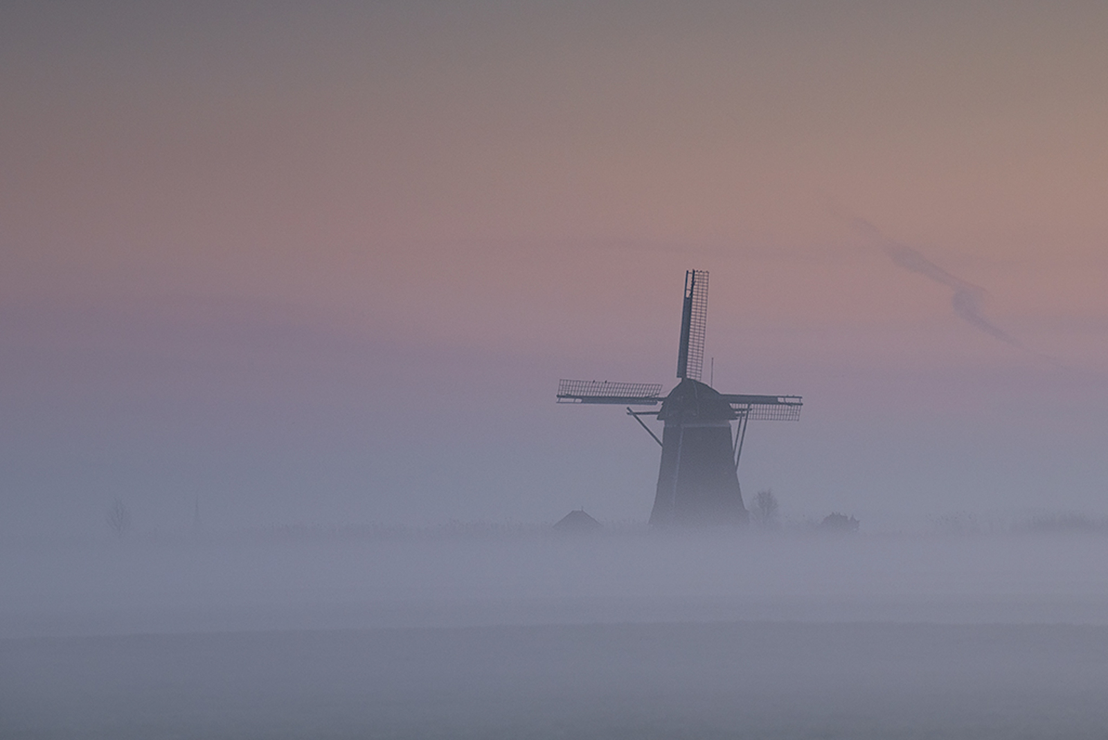 Foto van de maand Maart 2026