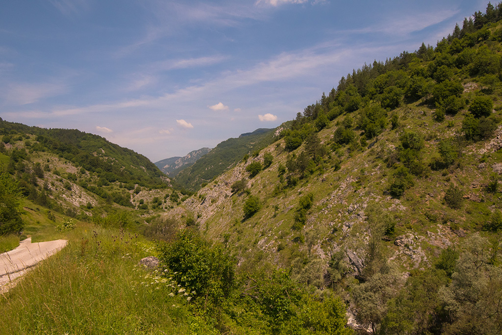 Landschap