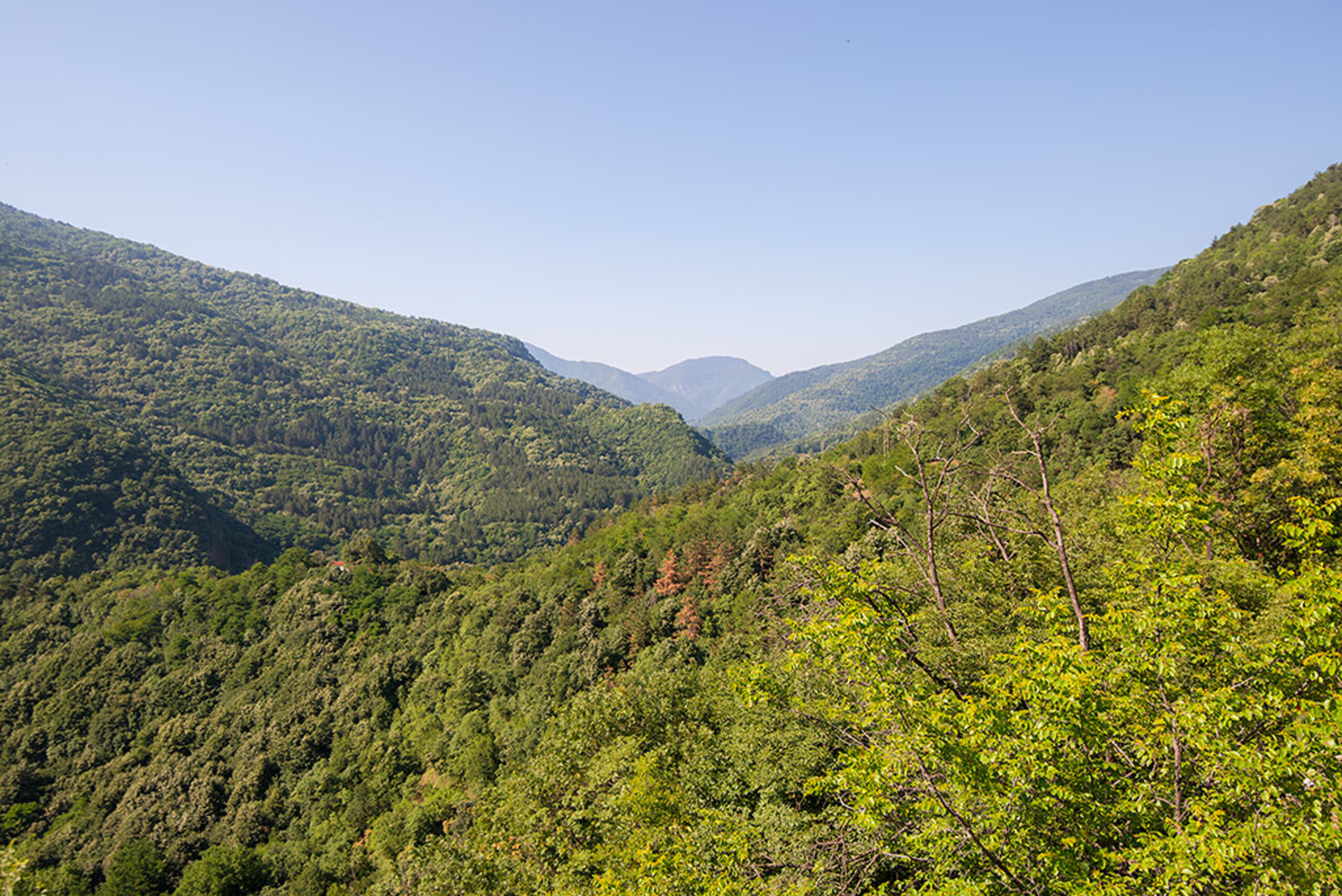Rhodopegebergte