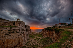 Reis van 14 t/m 21 Oktober 2025 naar Peloponnesos, Griekenland thema Macrofotografie Reptielen en Amfibieën, en Insecten