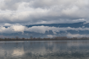 Reis van 25 Januari t/m 02 Februari 2026 naar Madzharovo en Sofia, Bulgarije, en Kerkini en Kalochori, Griekenland Thema Roofvogels en Gieren, Notenkrakers en Kroeskoppelikanen