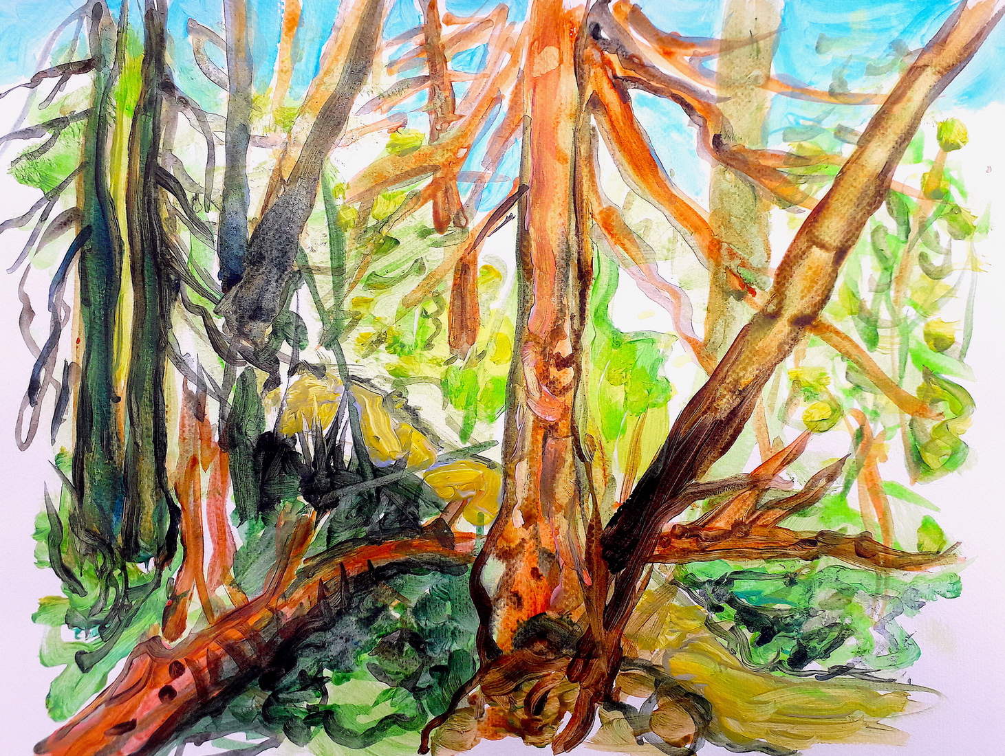 Op de flanken van de Imboschberg 3