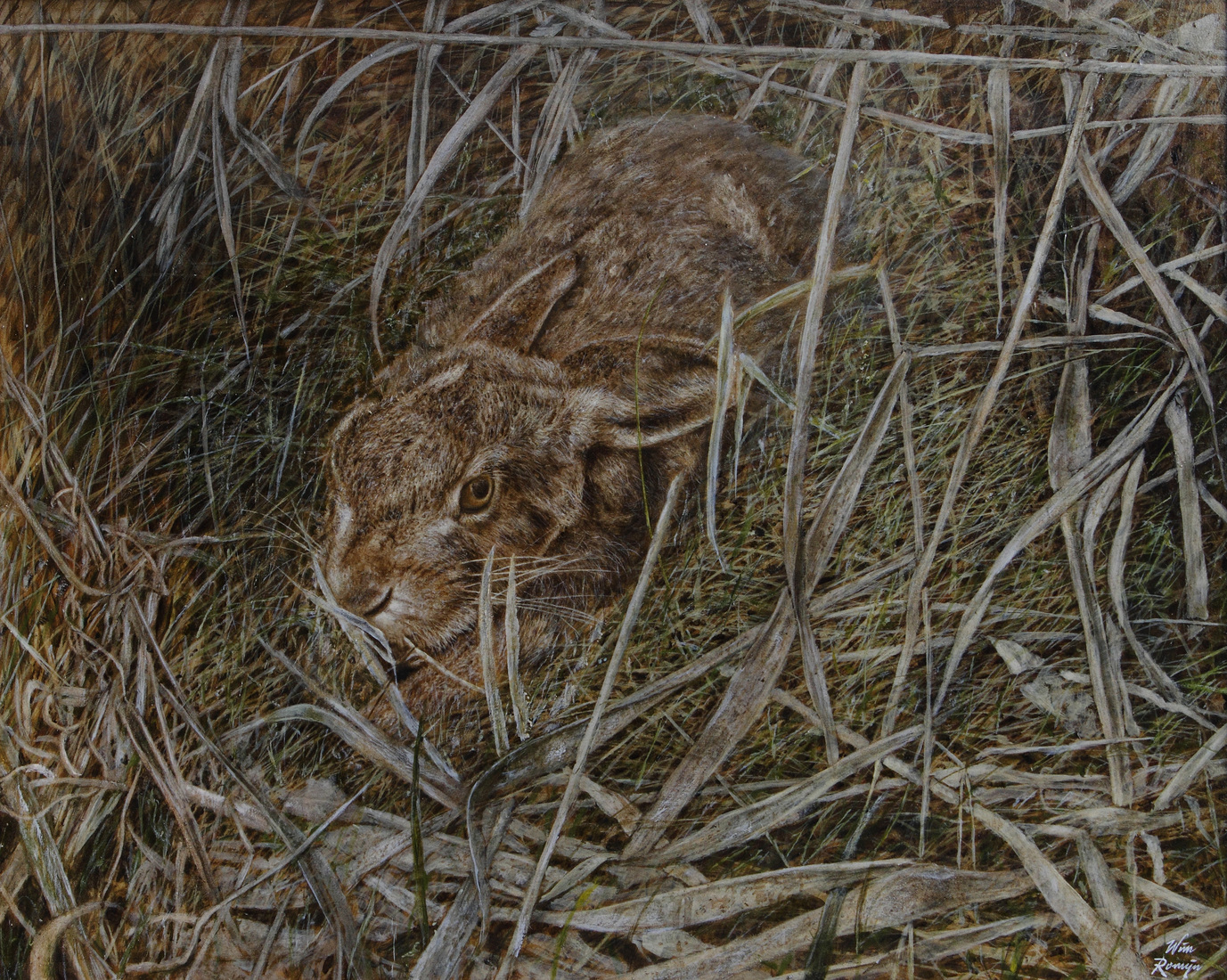 Gespannen als een veer