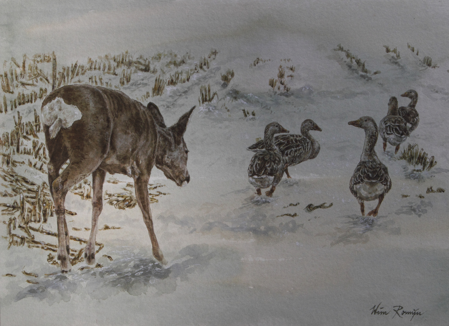 Vreedzame ontmoeting