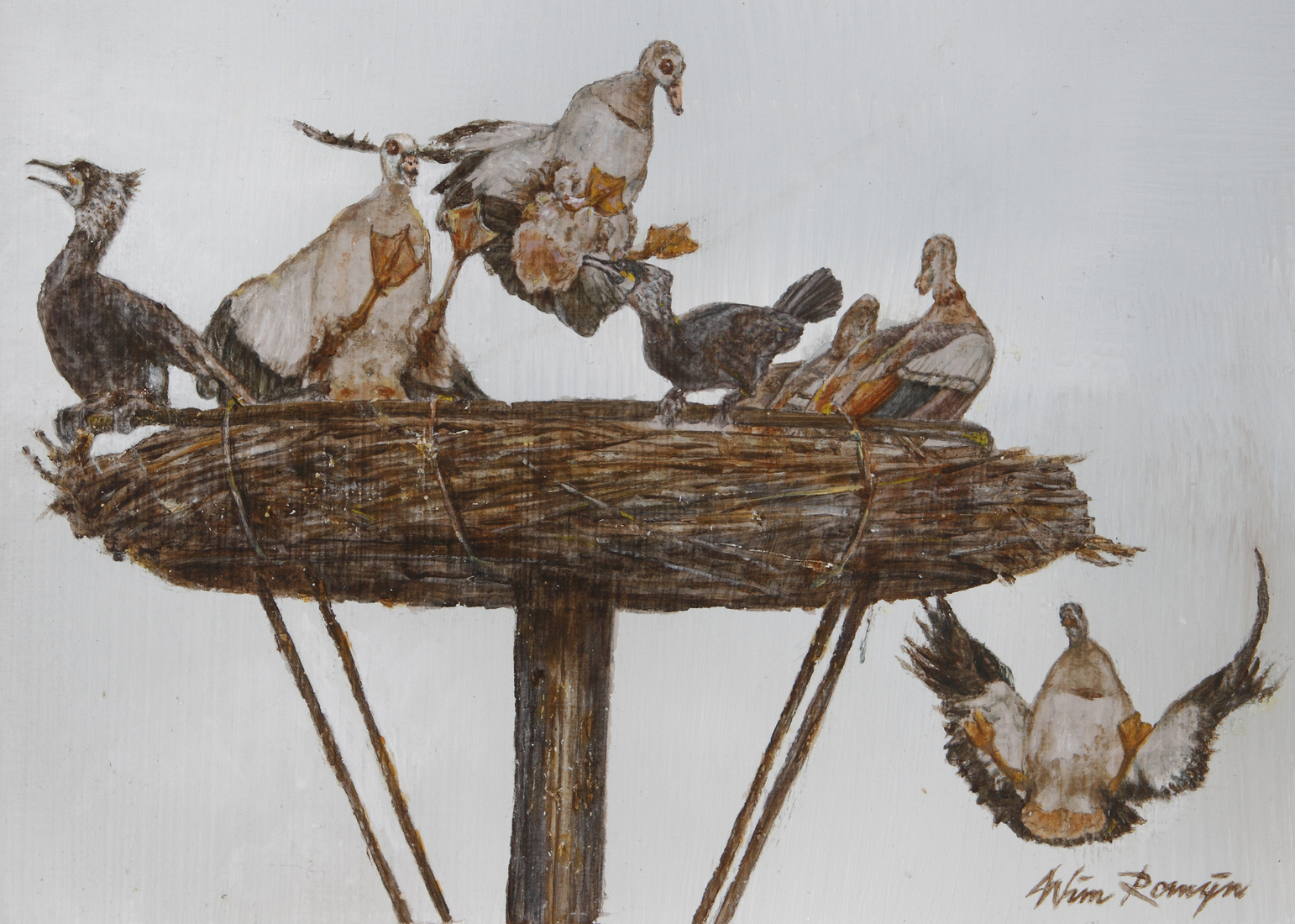 Nijlganzen en Aalscholvers