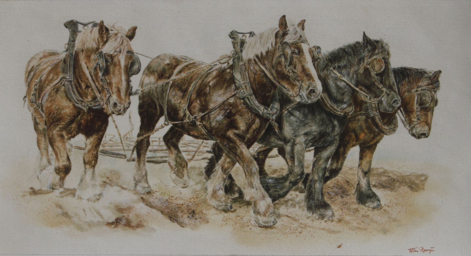 Zeldzame kleurencombinatie