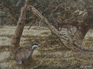 In de natuur levende Europese zoogdieren en vogels