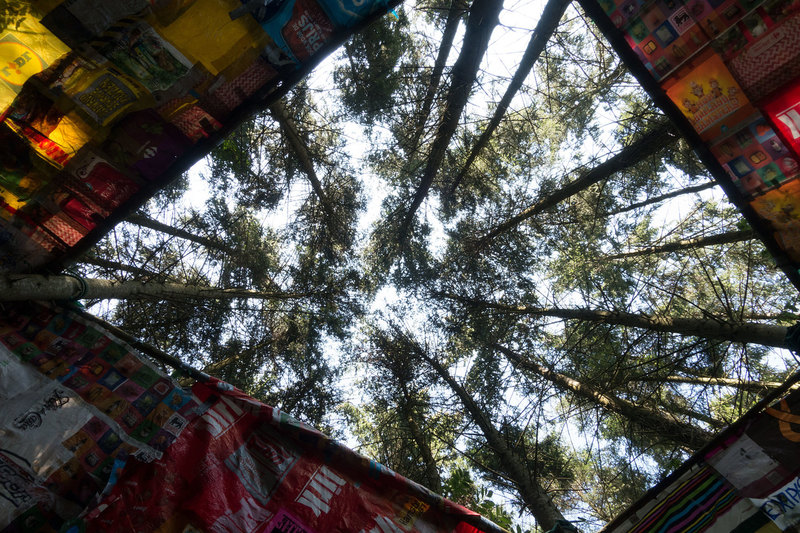 Observatoire / Flamande