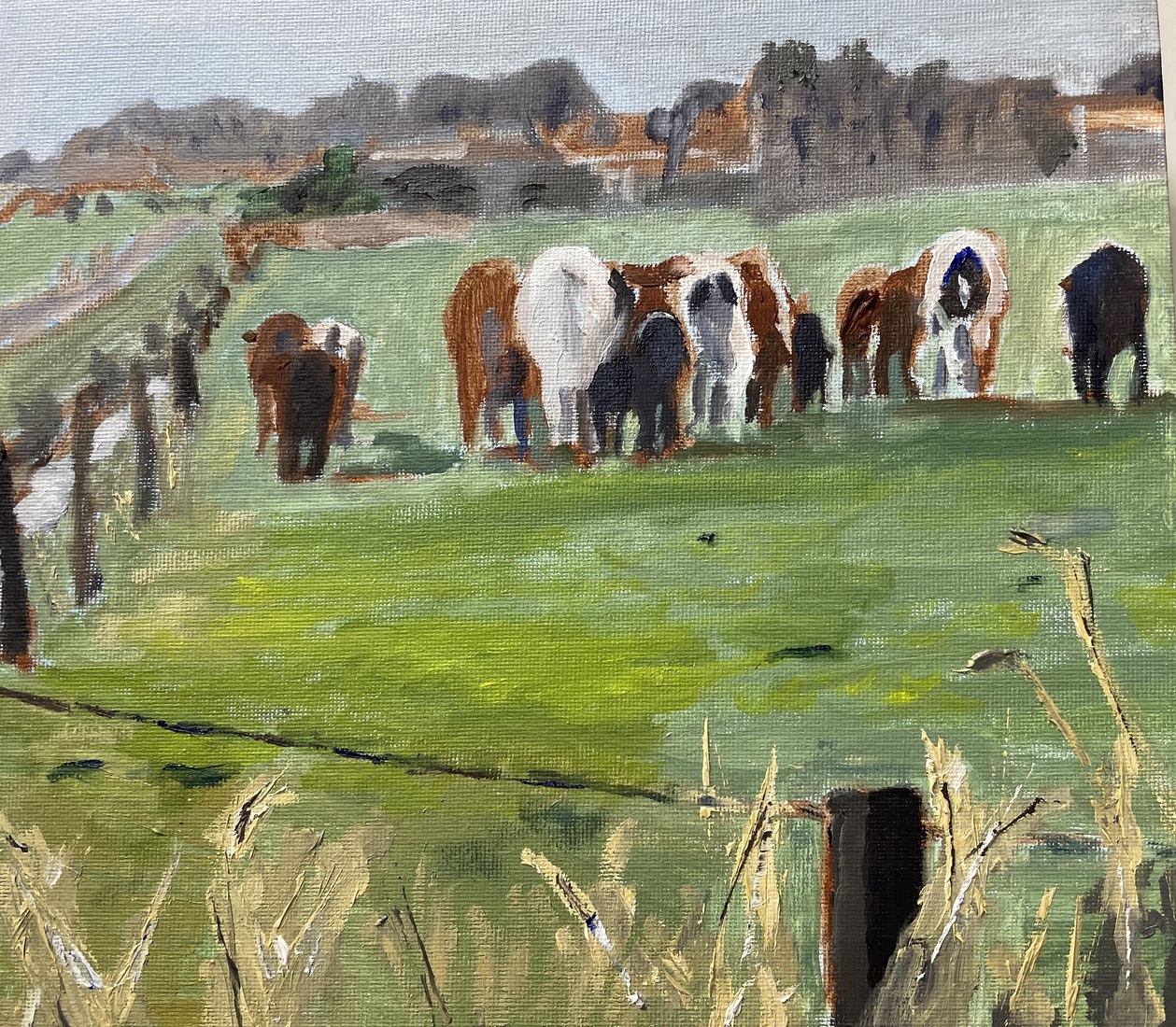 Koeien in de Burengrie