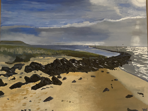 Landschappen op Ameland