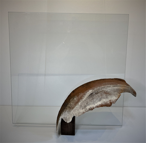 Soms ben ik jaloers op 2D-collega's. Wil ik ook zo'n overzichtelijk frame.
Maar dan wel een transparant frame. 
En eigenlijk wil ik ook niet binnen de lijntjes kleuren.