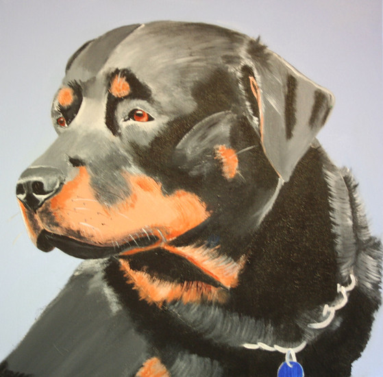 Sheena queen of the jungle