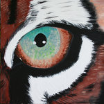 eyes, animal eyes or human eyes