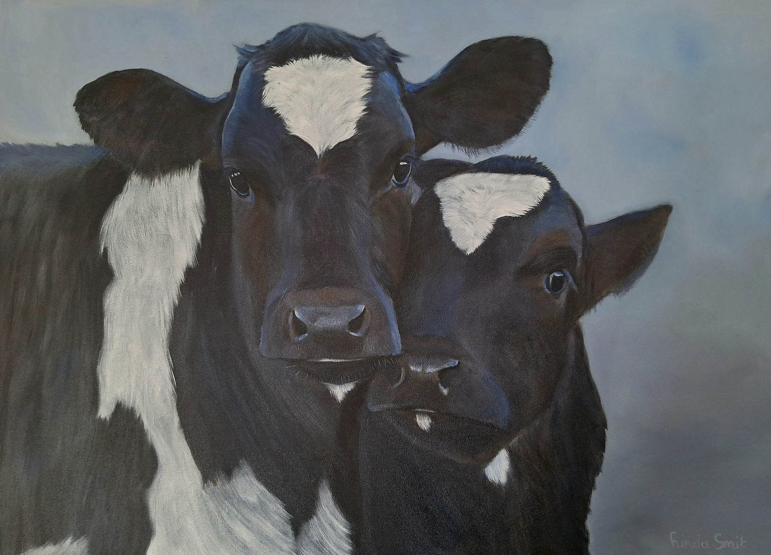 De koeien Claire en Jules 