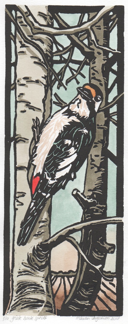 Grote bonte specht