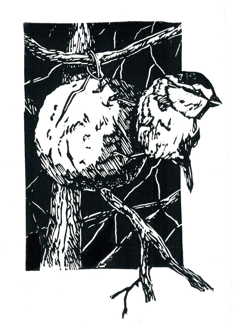 Pimpelmees op Vetbol