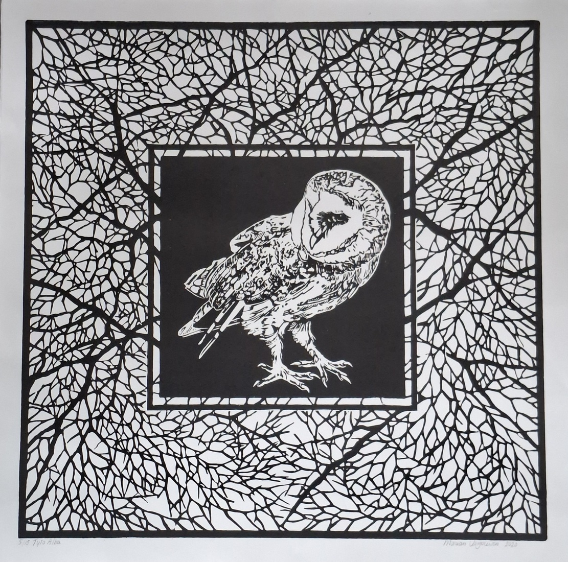Tyto Alba