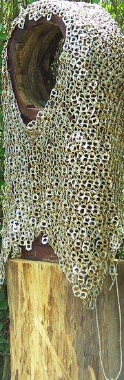 Lost the battle..................