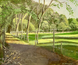 Boslaantje achter de Imboslaan