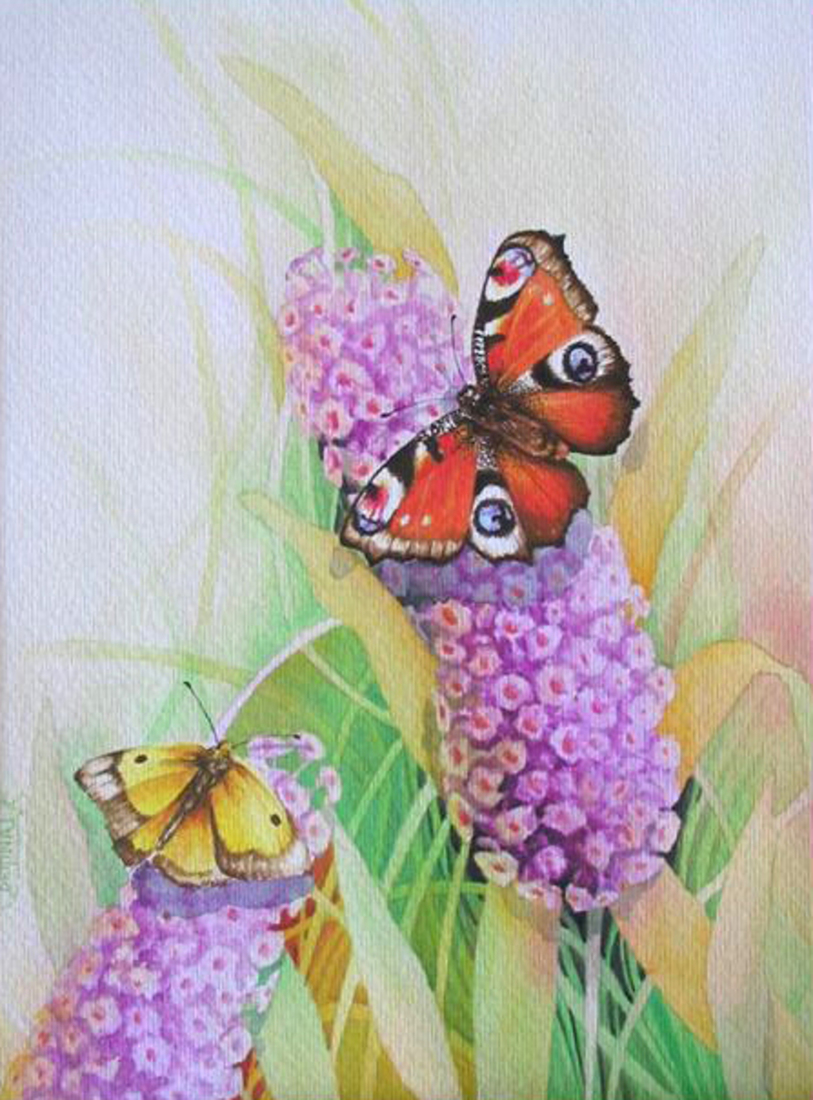 Vlinderstruik met vlinders