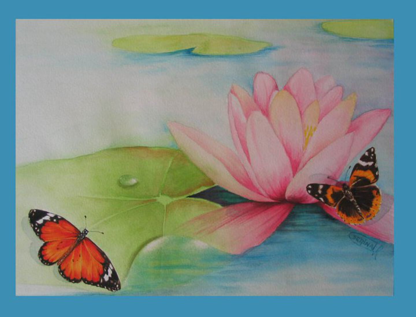 Waterlelie met vlinder