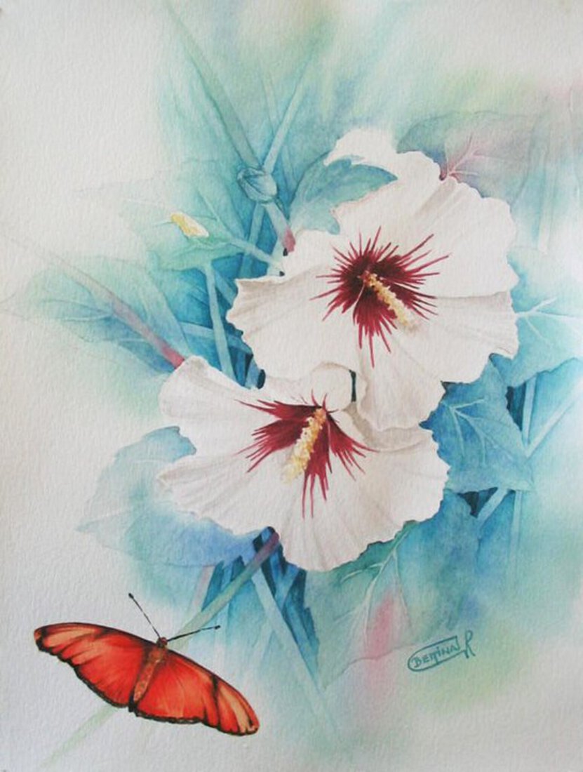 Witte hibiscus met vlinder