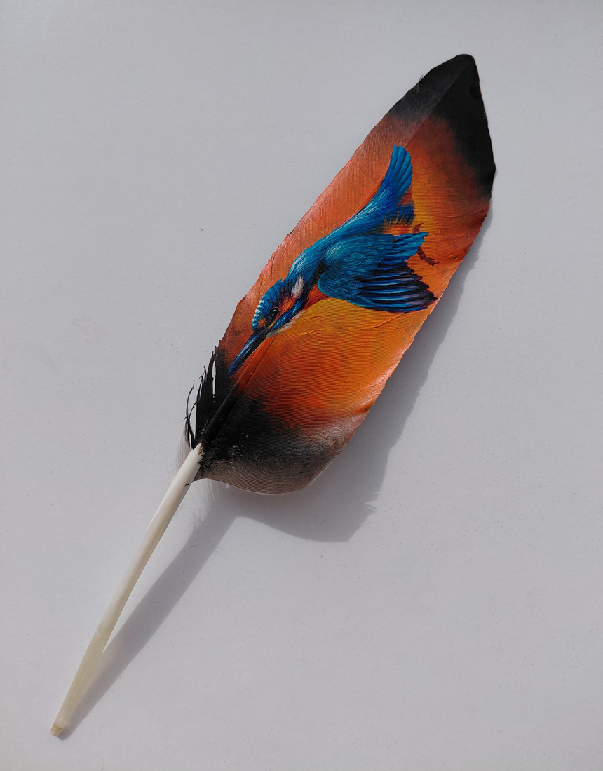 Beschilderde veer - IJsvogel 