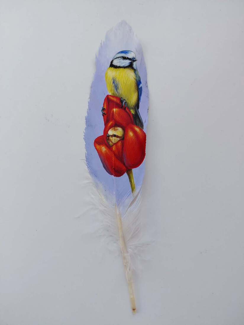 Beschilderde veer - Pimpelmees met tulpen.