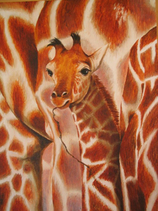 In deze groep vind je alle acrylverf en/of olieverf schilderijen op doek. Soms werk ik alleen met acrylverf of olieverf en soms met een combinatie van beide. 