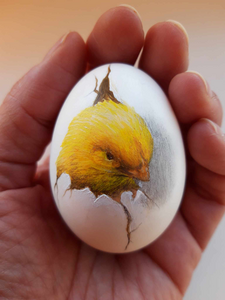 Eierenschalen kunnen beschilderd worden, met verschillende materialen zoals acrylverf , kleuren potloden , aquarellen, enz.
De eierenschalen die ik gebruikt zijn al leeg en gedesinfecteerd.
In dit album vindt u beschilderde eierenschalen maar ook gegraveerde eieren.